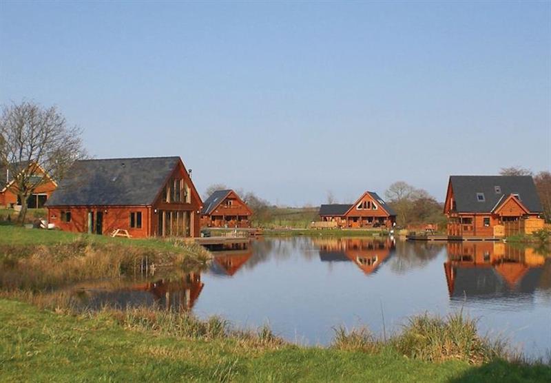The park setting (photo number 5) at Anglesey Lakeside Lodges in Isle of Anglesey, North Wales