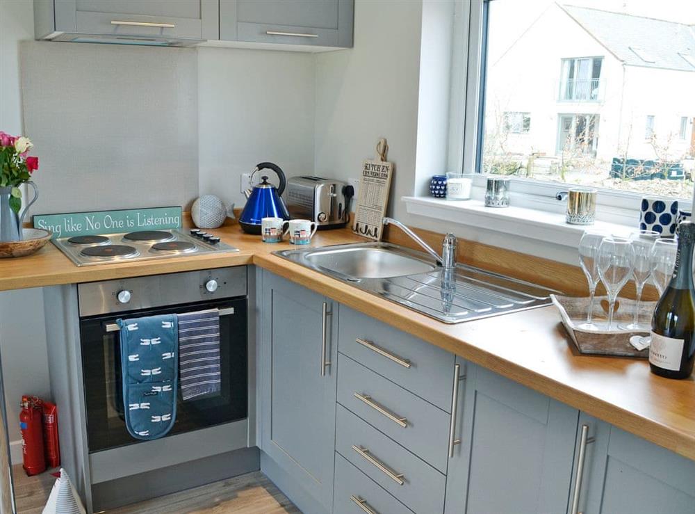 Modern kitchen area at Annabelles Den in Gatehouse of Fleet, near Kirkcudbright, Dumfries and Galloway, Kirkcudbrightshire
