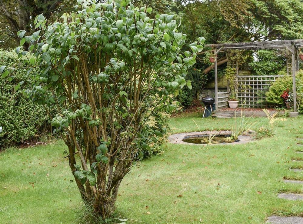 Garden (photo 2) at Anneth Lowen in Gwennap, Cornwall