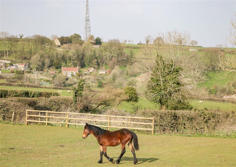 Rural landscape at Annex Chetnole, Dundry near Bishopsworth