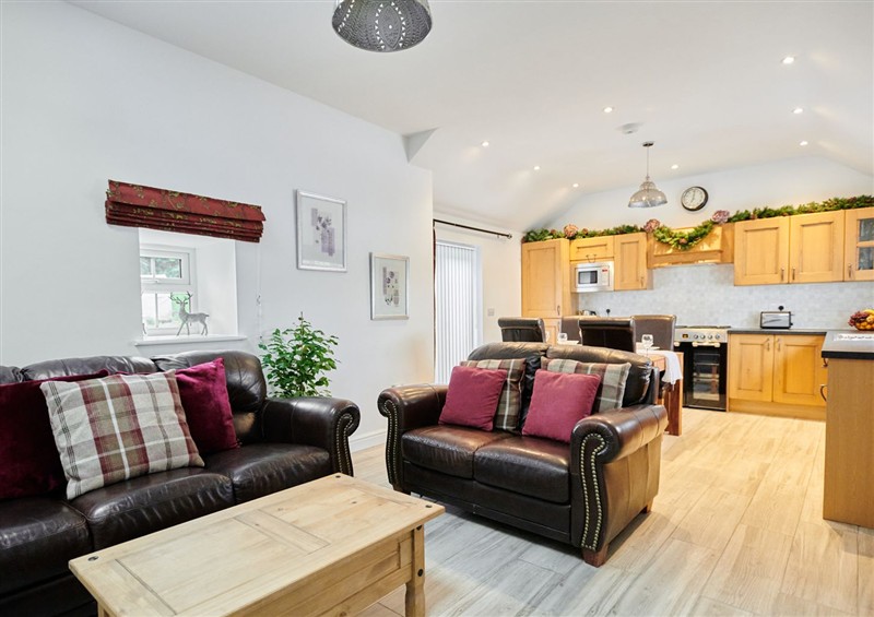 Enjoy the living room at Annexe at Ty Moel Isaf, Pengorffwysfa near Amlwch