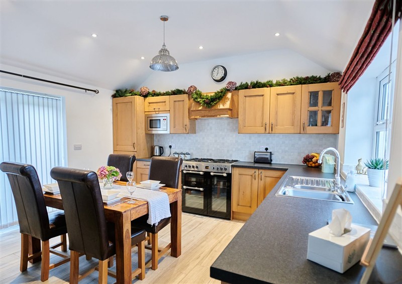 The kitchen at Annexe at Ty Moel Isaf, Pengorffwysfa near Amlwch
