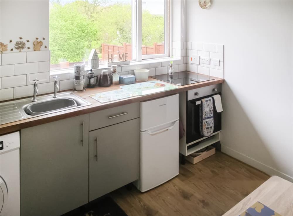 Kitchen area (photo 2) at Annexe Little Parkhayes in Woodbury Salterton, near Exmouth, Devon