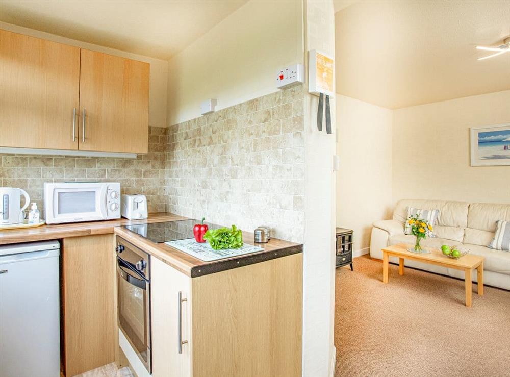 Kitchen at Apartment 2 Bedford Holiday Flats in Paignton, Devon