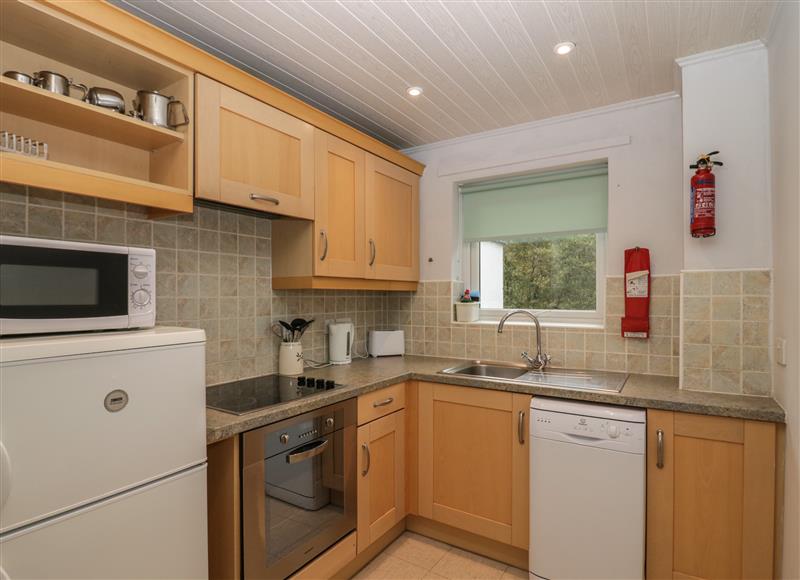 This is the kitchen at Apartment 6, Keswick