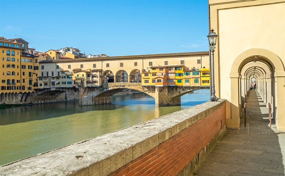 Apartment Medici