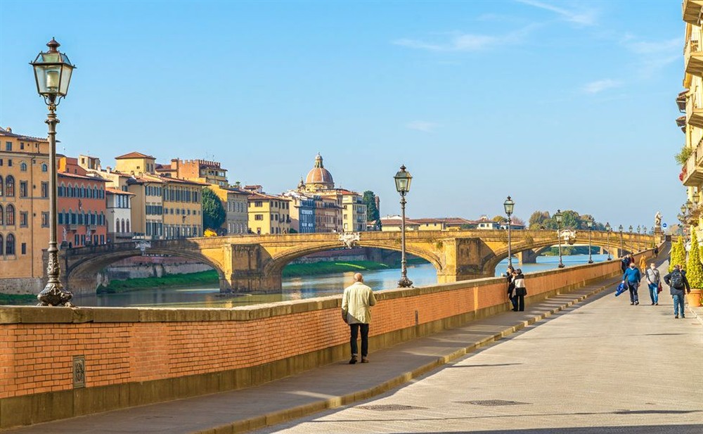Apartment Medici