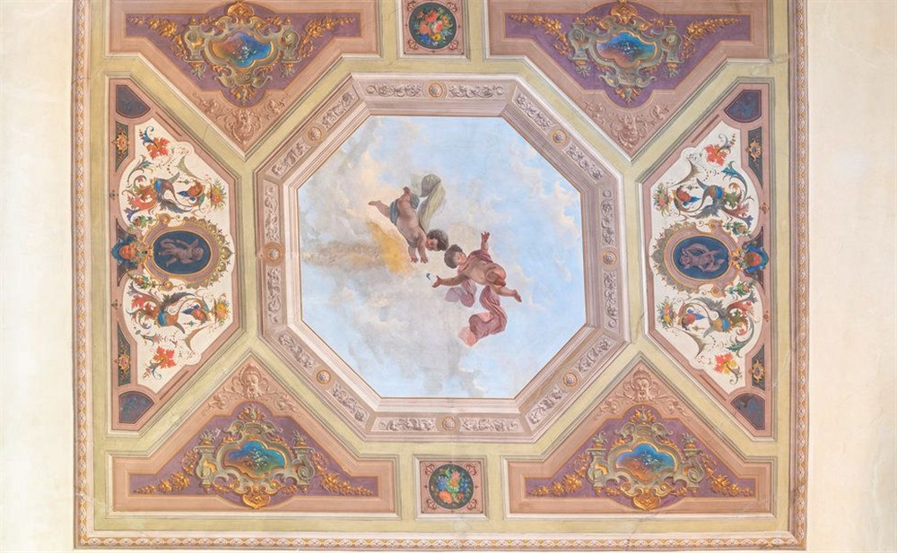 Apartment Medici