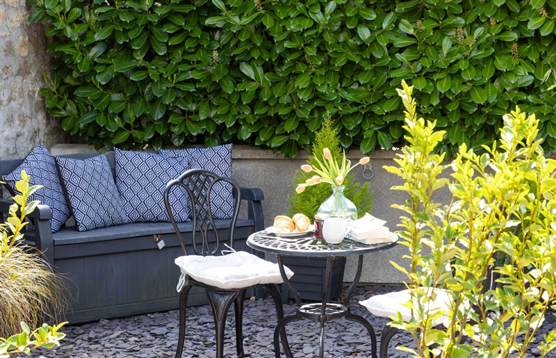 Enjoy the garden at Apothecary Cottage, Somerset