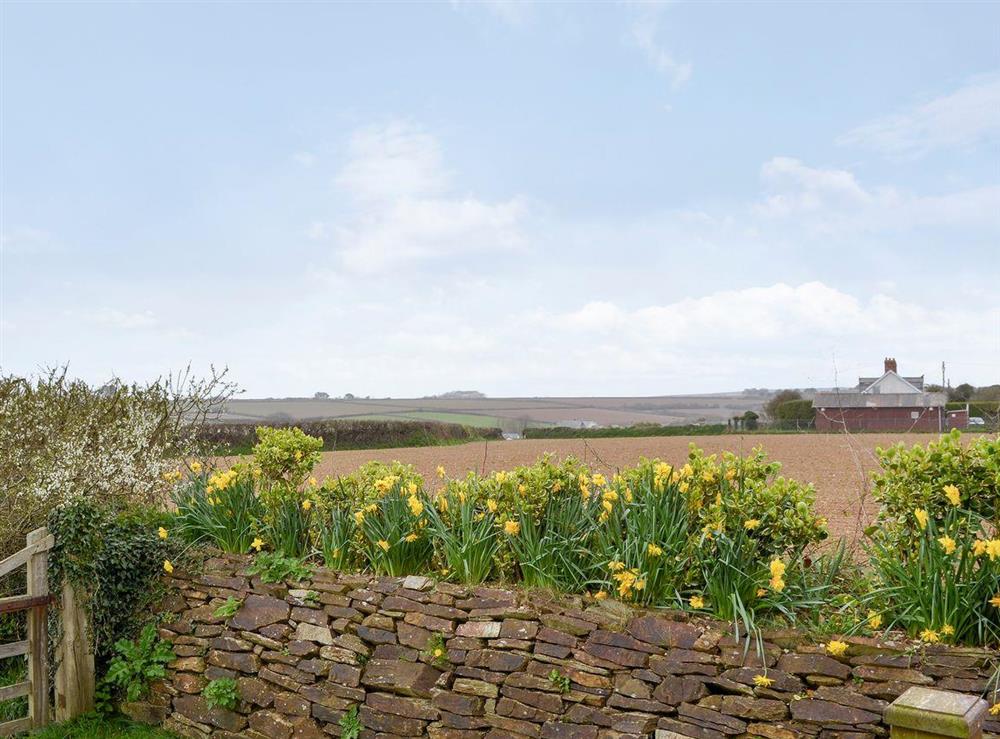 Brilliant views of the surrounding countryside at Apple Blossom Cottage in St Ervan, near Padstow, Cornwall
