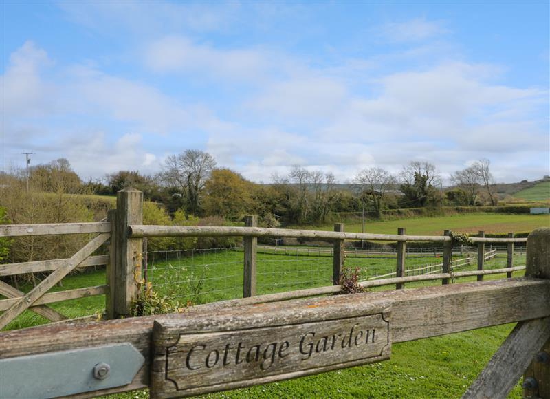 Rural landscape (photo 3) at Apple Blossom House, Shipton Gorge