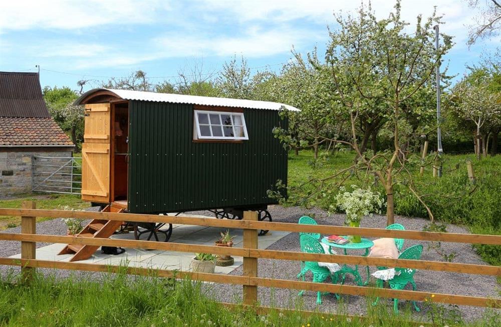 This is the setting of Apple Blossom Hut (photo 2) at Apple Blossom Hut in Shepton, Somerset