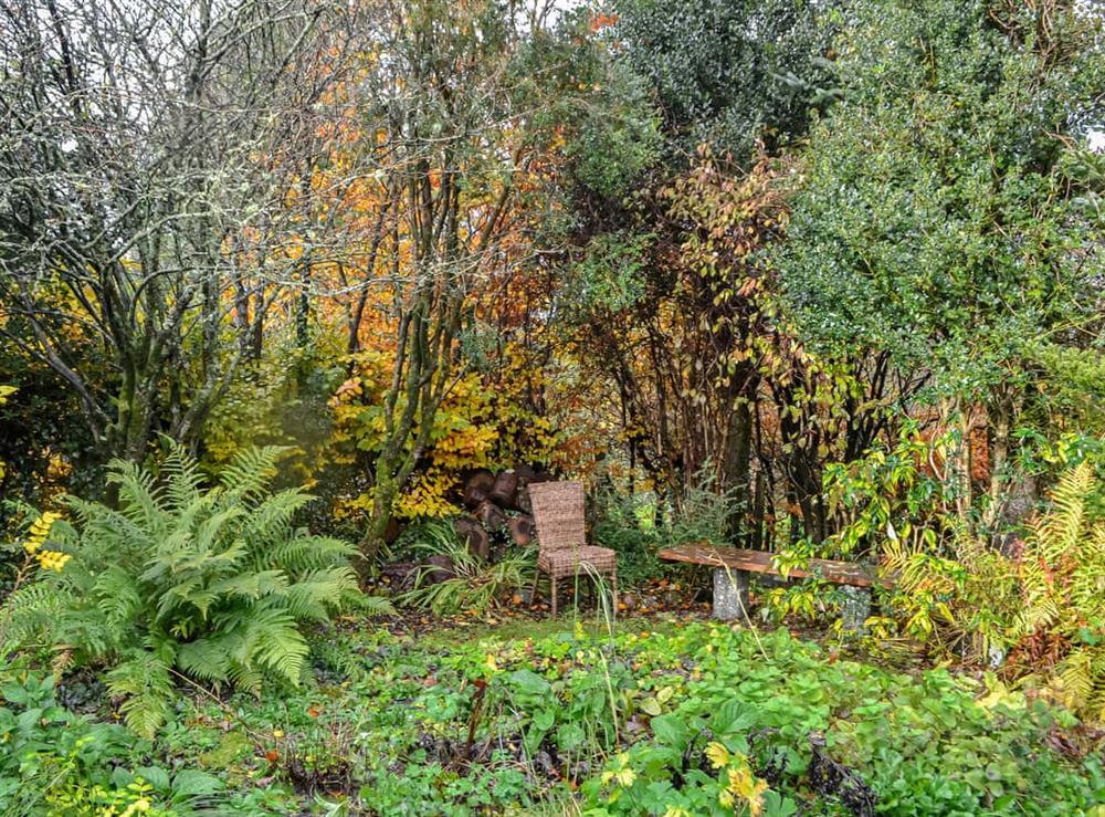 Garden (photo 2) at Apple Cottage in Bladnoch, near Wigton, Wigtownshire