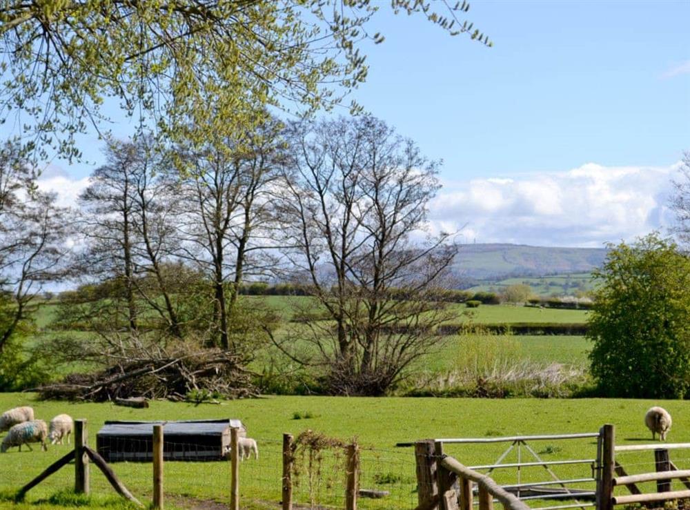 Surrounding area at Apple Cottage in Culmington, near Ludlow, Shropshire