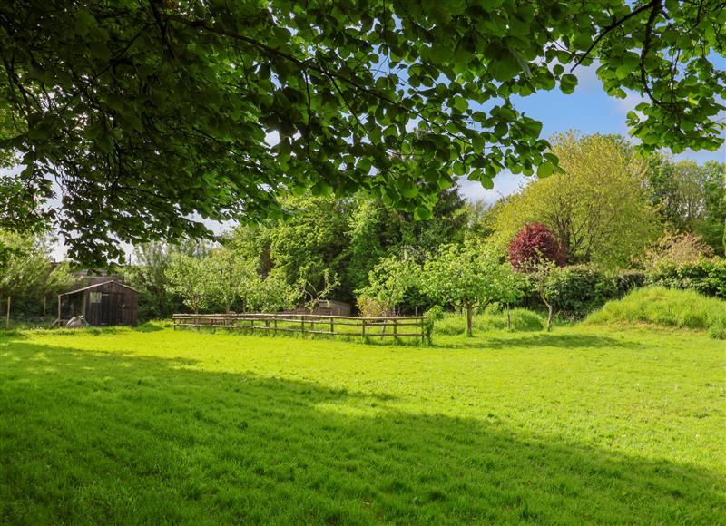 Rural landscape