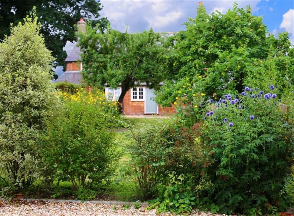 Garden at Apple Cottage in Wimborne Minster, Dorset