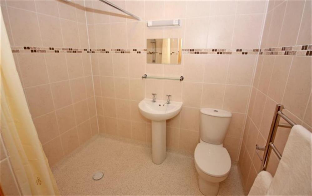 Ground floor shower room next to double bedroom at Apple Tree Cottage, Awliscombe in Honiton