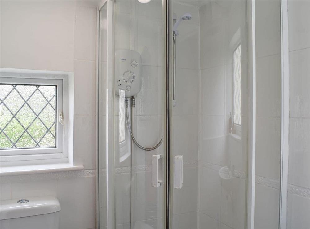 Shower room at Apple Tree Cottage in Charmouth, Dorset