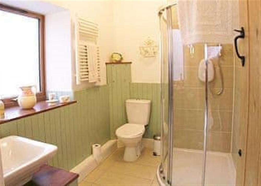 Bathroom at Apple Tree Cottage in Tealing, nr Dundee, Angus