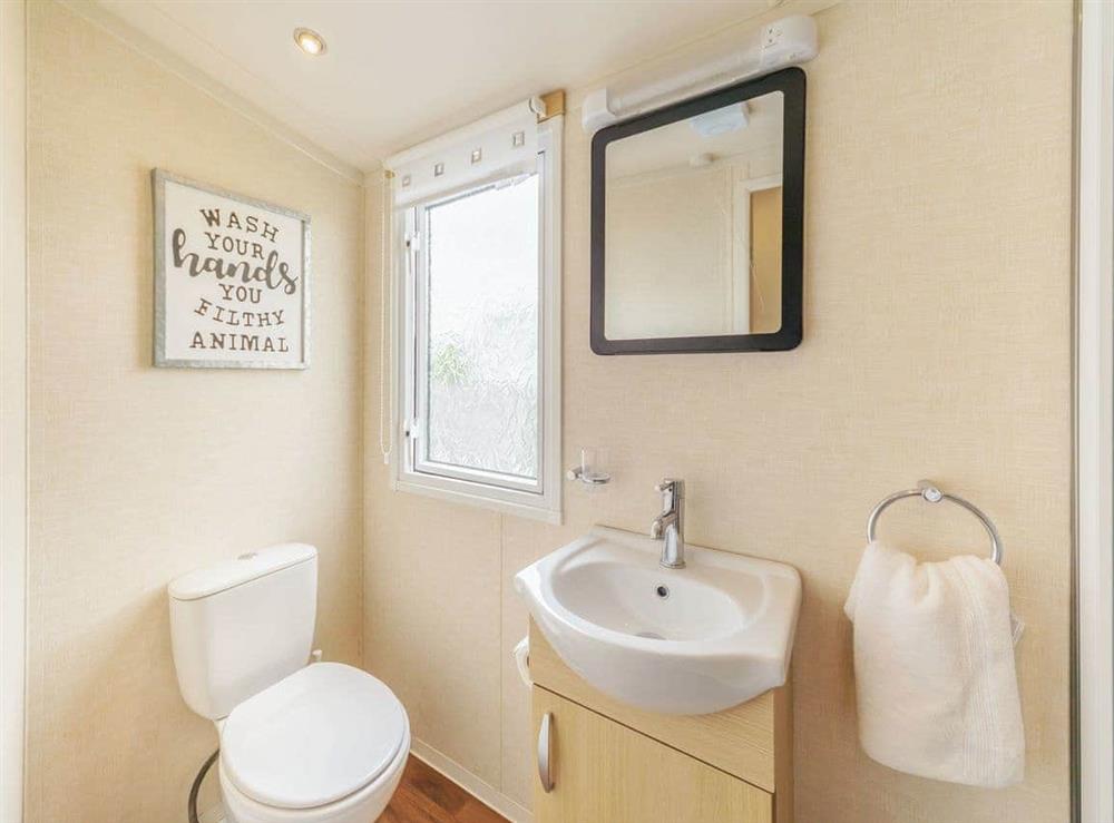 Shower room at Apple Tree Lodge in Felton, Northumberland
