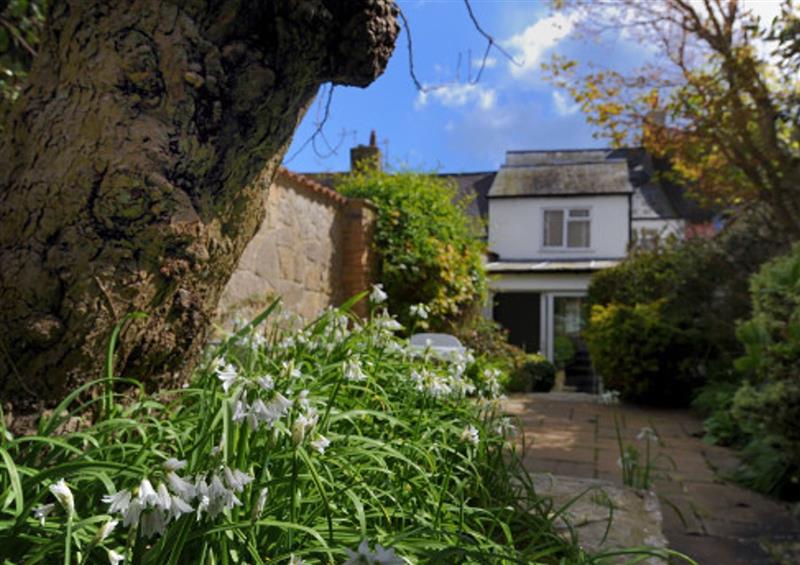 The garden in Appletree Cottage at Appletree Cottage, Lyme Regis