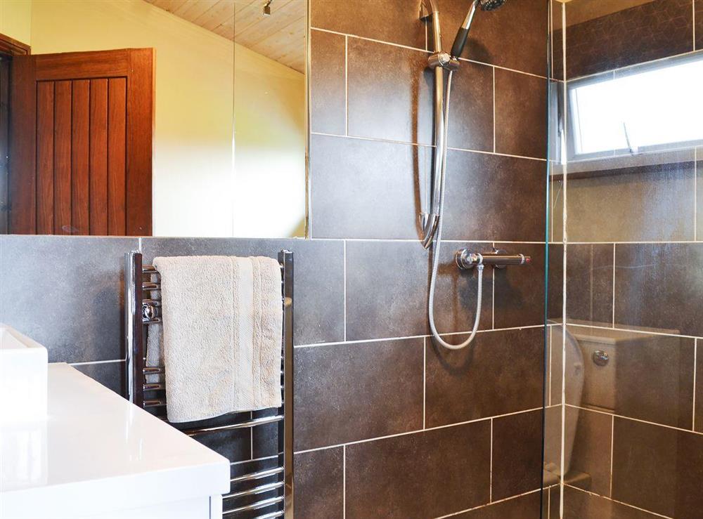 En-suite shower room at Appletree Lodge in Newton-on-Derwent, near York, Yorkshire, North Yorkshire