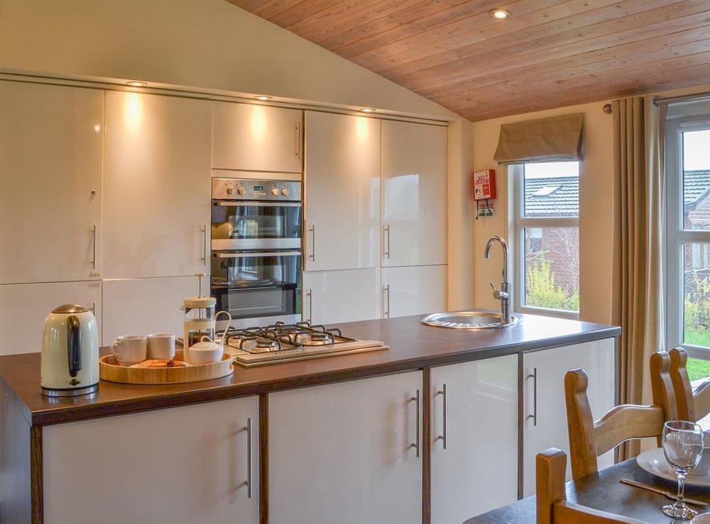 Lovely kitchen at Appletree Lodge in Newton-on-Derwent, near York, Yorkshire, North Yorkshire