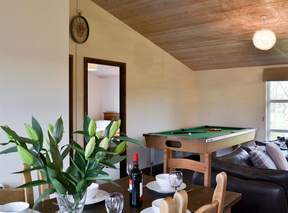 Pool table in the open plan living area at Appletree Lodge in Newton-on-Derwent, near York, Yorkshire, North Yorkshire