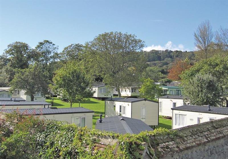 The park setting at Appuldurcombe Gardens Holiday Park in Wroxall, Nr Ventnor