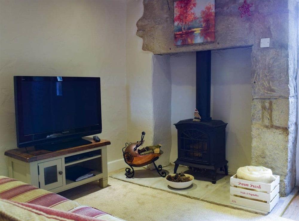 Cosy living room with ornamental wood burner at April Cottage in Settle, North Yorkshire