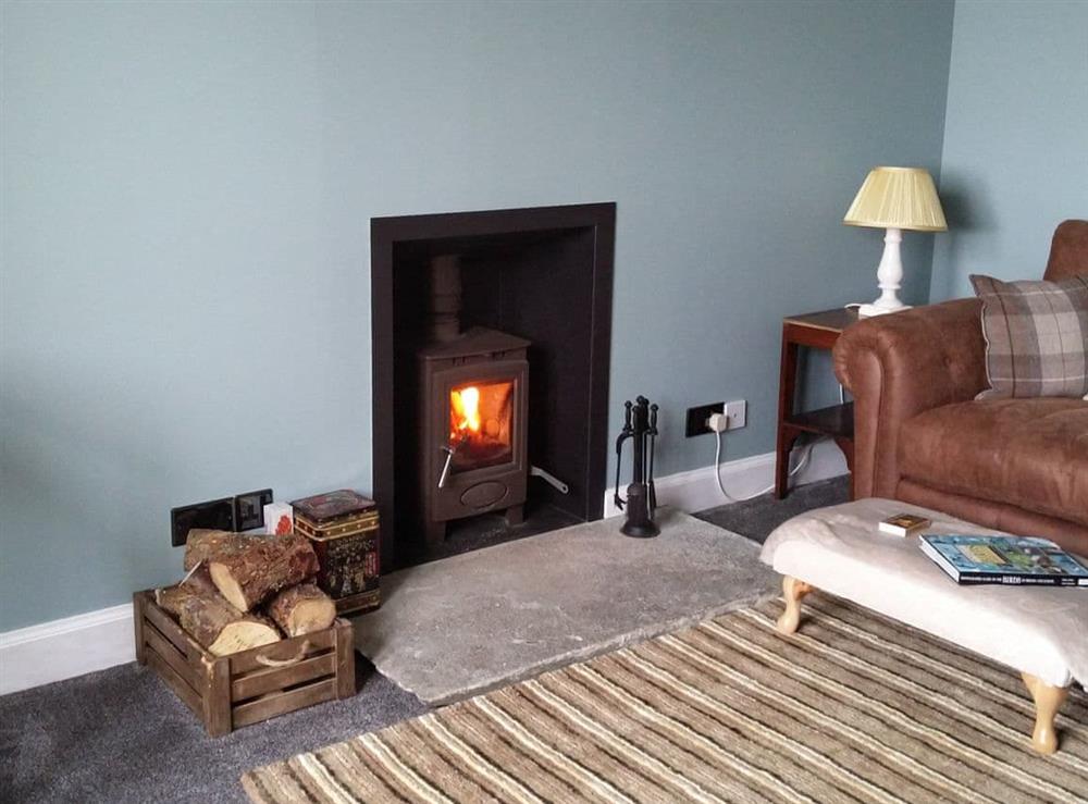Welcoming living area with wood burner at Ardville in Melness, near Tongue, Sutherland