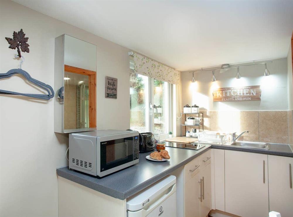 Kitchen area (photo 2) at Aremo Garden House in Torquay, Devon