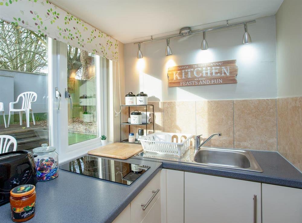 Kitchen area (photo 3) at Aremo Garden House in Torquay, Devon