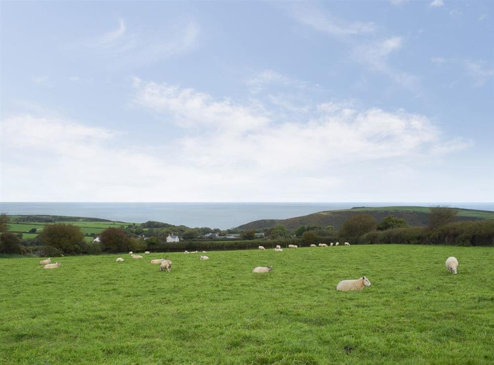 Outstanding views out to sea at Arforwest in Near Llangrannog, Cardigan, Dyfed