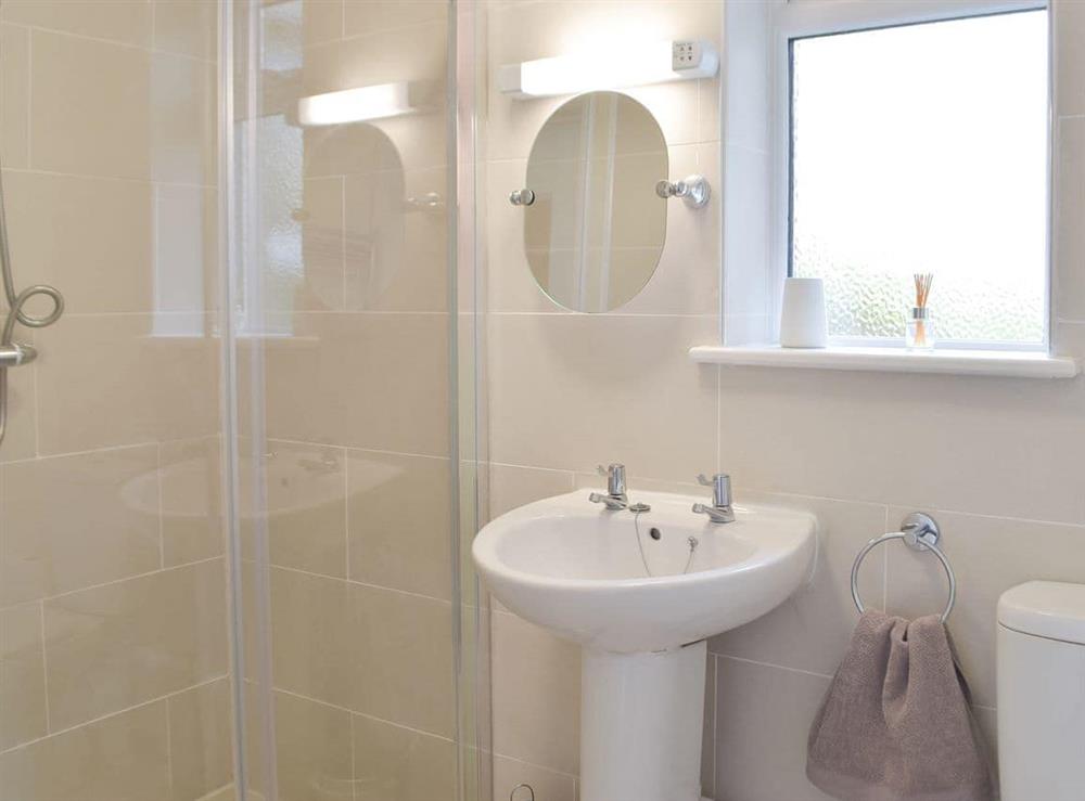 Shower room at Arfryn in Llansteffan, near Carmarthen, Dyfed