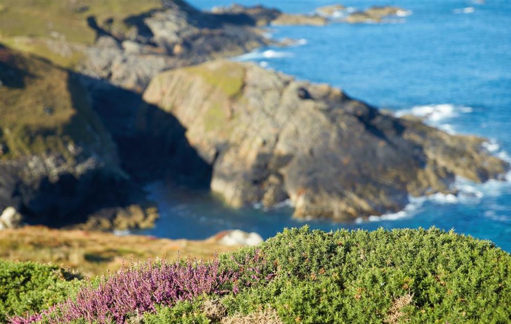 The rocks below the lighthouse headland where you may be lucky enough to spot seals at Argus Cottage, Pendeen Lighthouse