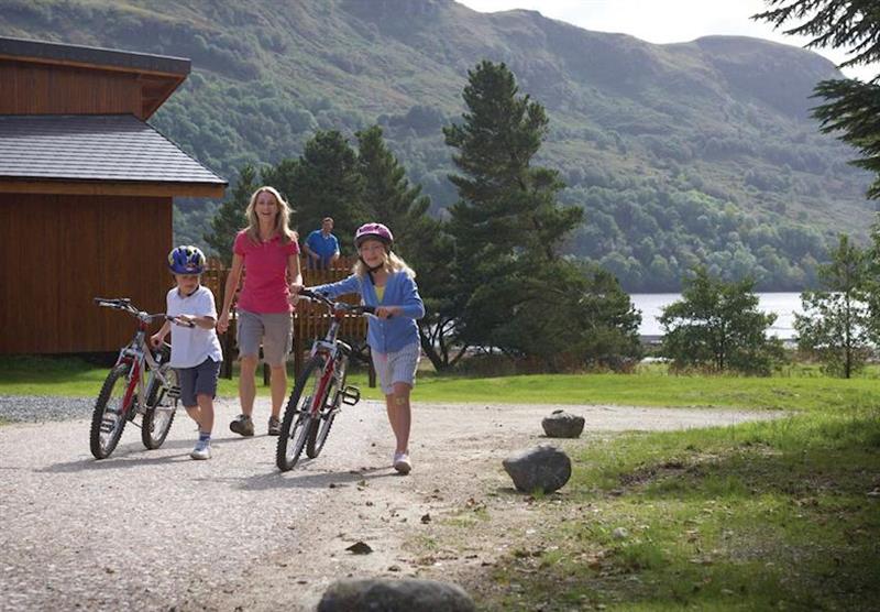 A photo of Golden Oak Lochside 2 (Pet) at Argyll Lodges