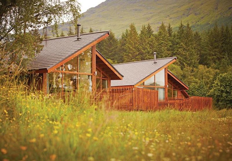 Typical Golden Oak 3 at Argyll Lodges in Dumbartonshire, Southern Highlands