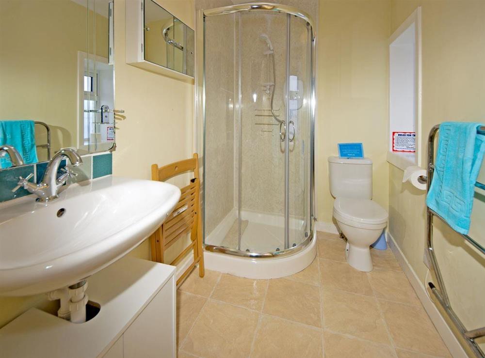 Convenient shower room at Artillgan Cottage in By Tarbert, Argyll, Argyll and Bute