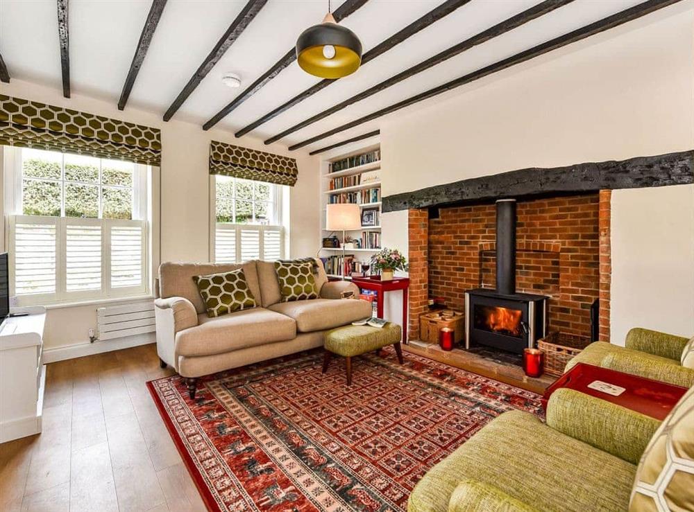 Relax in the living area at Arun Cottage in Arundel, West Sussex