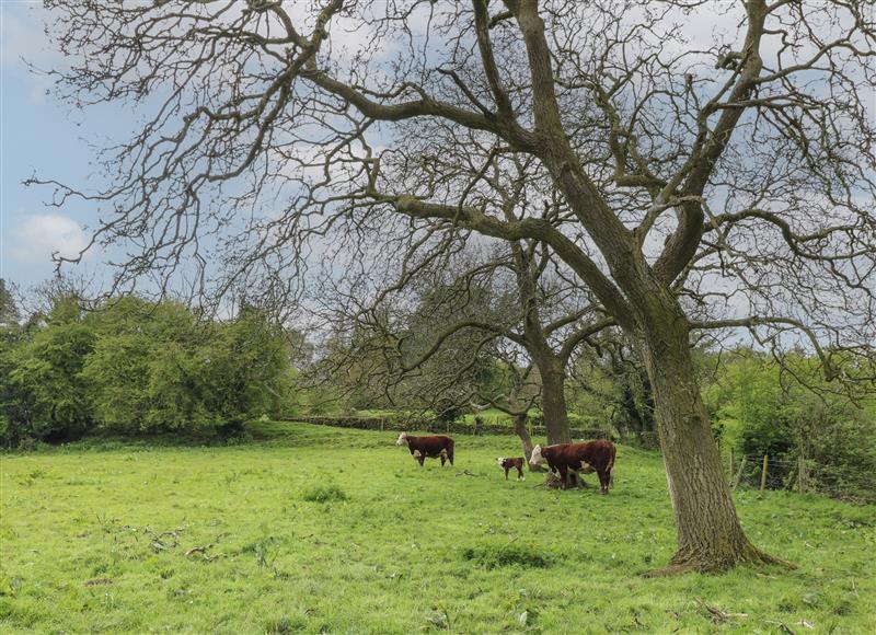 The area around Ash Cottage - Fold Yards