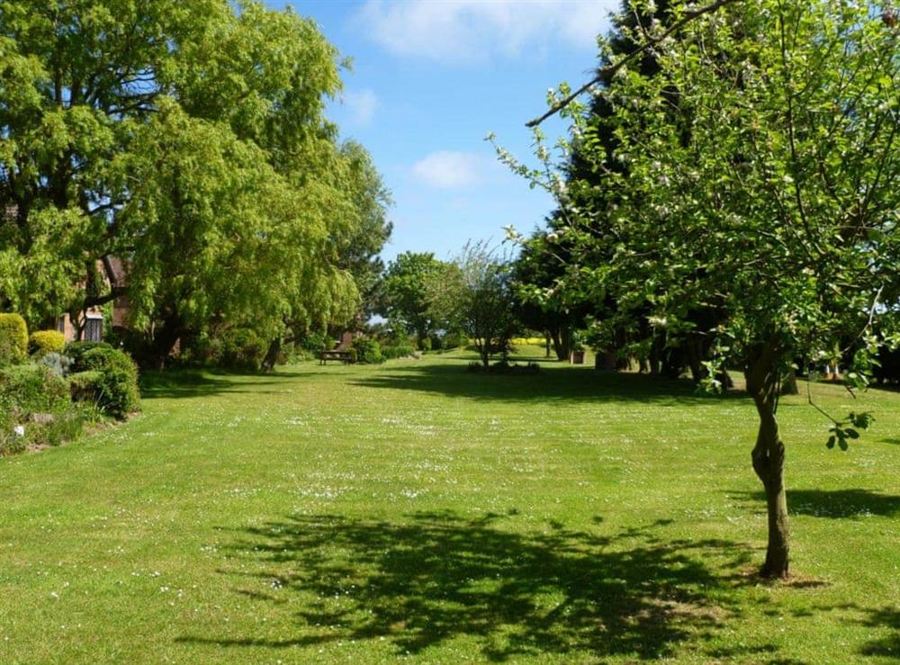 Garden and grounds (photo 2) at Ash Cottage in Skegness, Lincolnshire