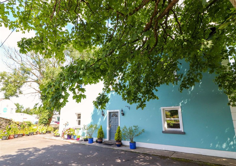 Outside Ash House at Ash House, Ballyvaughan