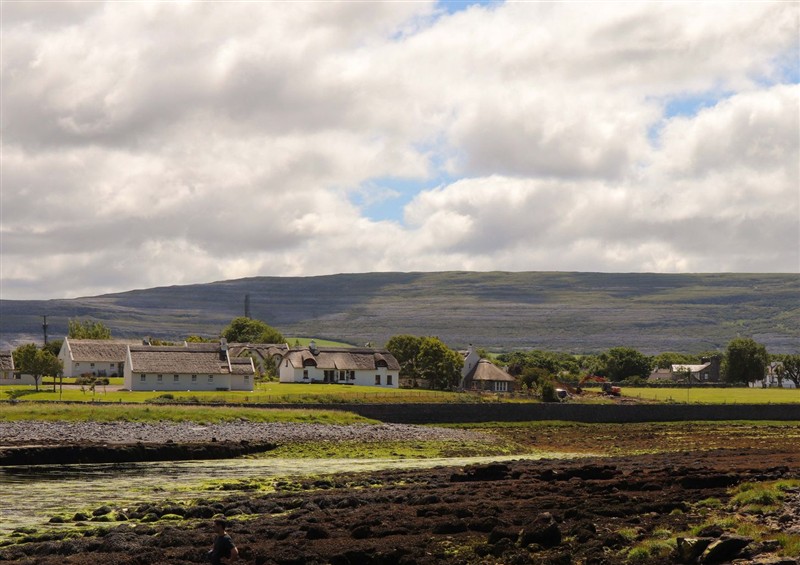 The garden in Ash House at Ash House, Ballyvaughan