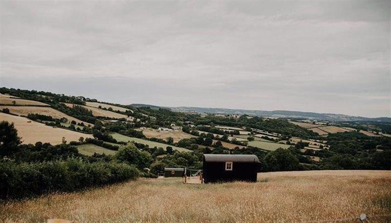 Rural landscape