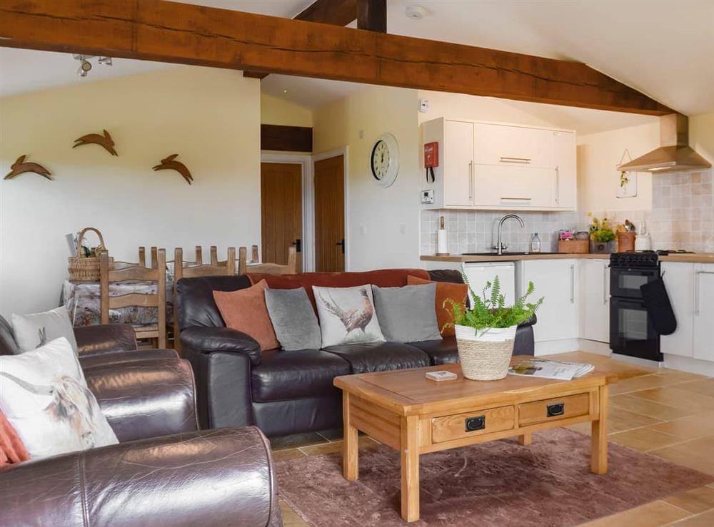Open plan living space at Ash Lodge in Bosley, near Macclesfield, Cheshire