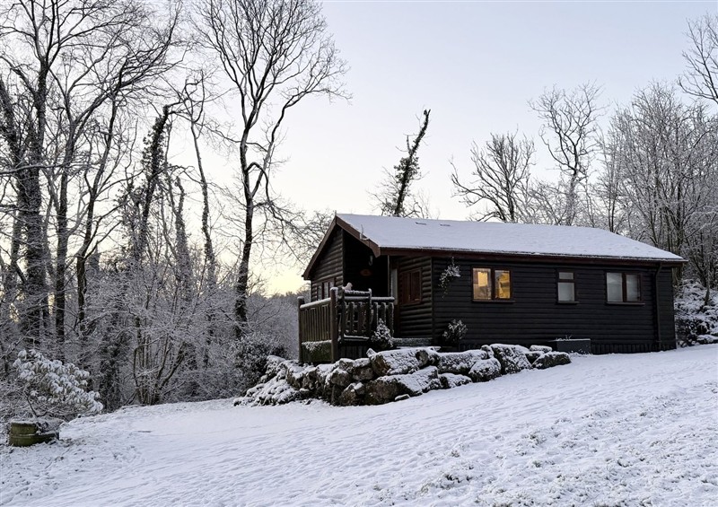 The setting at Ash Lodge, Mynydd Cerrig near Porthyrhyd