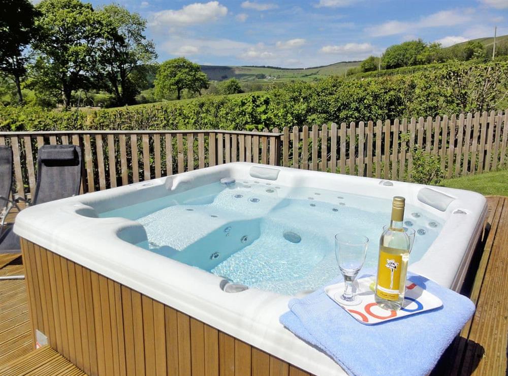 Hot tub (photo 2) at Ash Lodge in Rhayader, Powys