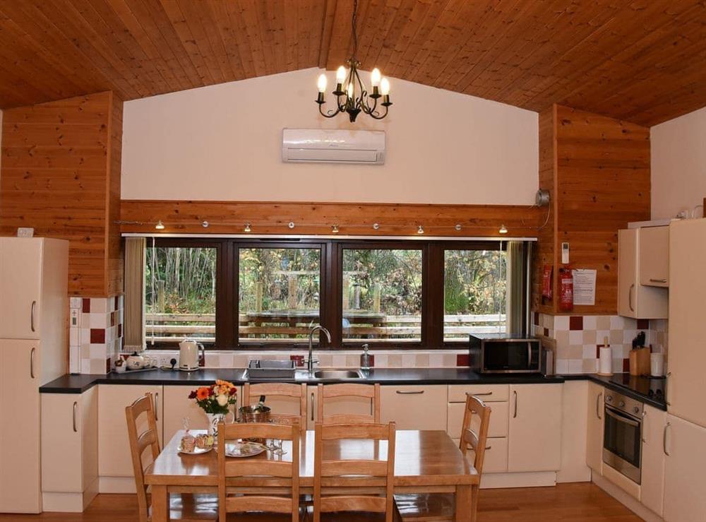 Kitchen area at Ash Lodge in Rhayader, Powys