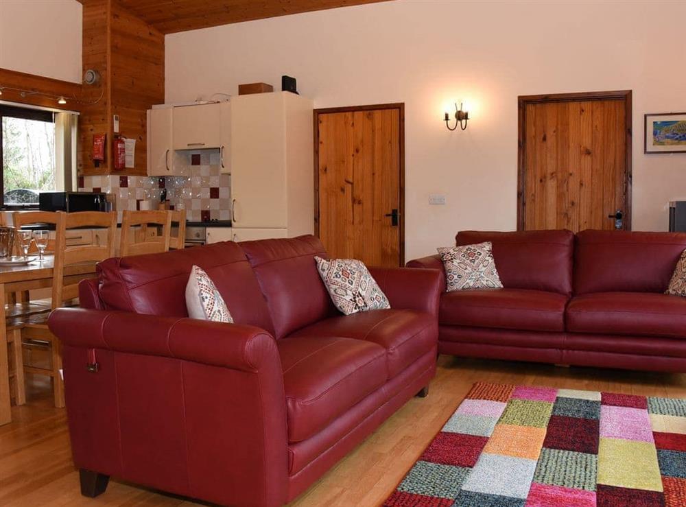 Open plan living space at Ash Lodge in Rhayader, Powys